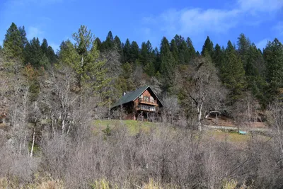 DSC_0229 (Large).JPG